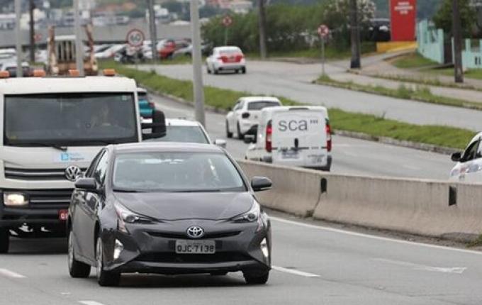 Rodovias federais de Santa Catarina registram 140 atropelamentos em 2025
