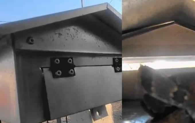 Cobra é encontrada dentro de caixa de correio por moradora em SC