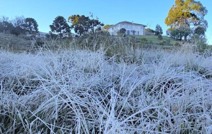 Cidade mais fria do Brasil tem termômetros abaixo de 0°C e campos “congelam” na Serra de SC