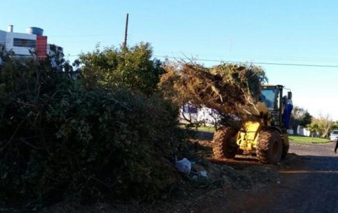SMO: Recolha de galhos não é mais realizada pela prefeitura