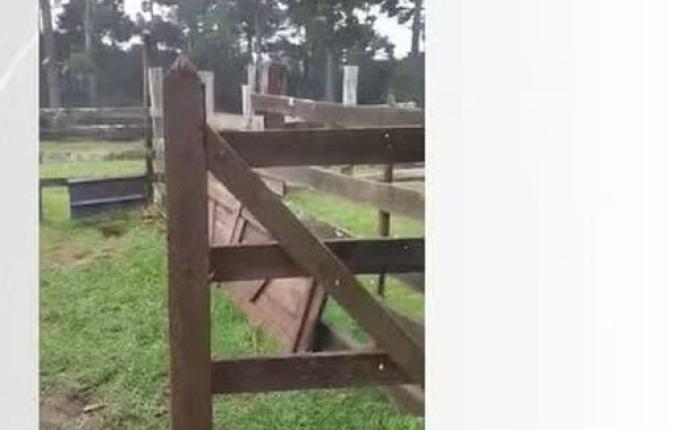 Neve cai pela primeira vez em 2024 em SC, na Serra