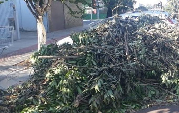 Município intensificará notificações para descartes irregulares de materiais