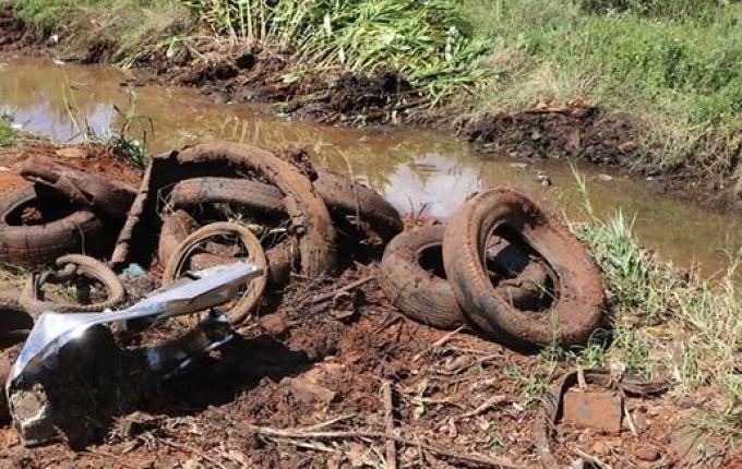 Área de preservação é limpada em Palma Sola