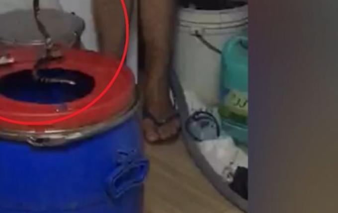 VÍDEO: Serpente mais venenosa do Brasil é capturada em SMOeste