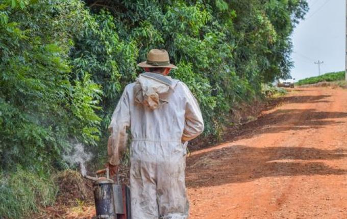 Agricultor morre após ser atacado por abelhas em Ronda Alta