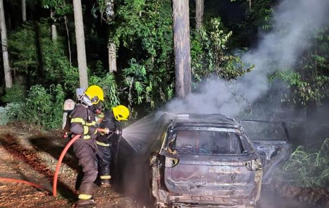 Carro bate em árvore e pega fogo em São José do Cedro