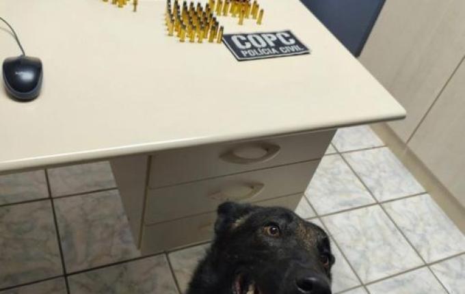 Operação policial apreende armas e reforça combate ao crime em Descanso