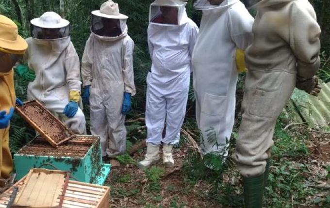 Encontro aborda o melhoramento genético de abelhas em Iporã do Oeste