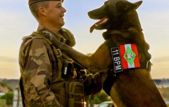 Depois de oito anos de serviços prestados, o cão de faro Axel, foi aposentado