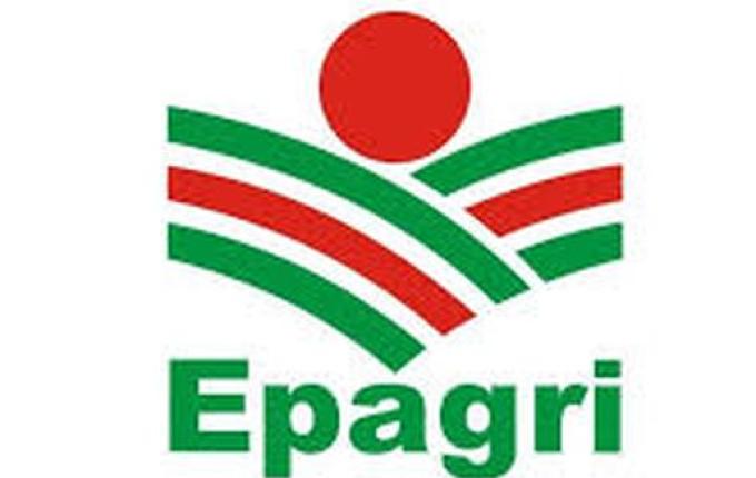 Epagri promove nesta sexta, reunião para prestação de contas do ano de 2024
