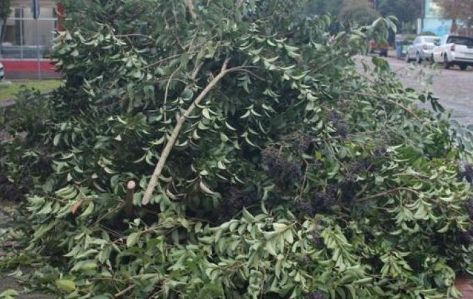 Mondaí anuncia novas regras no recolhimento de galhos e materiais recicláveis