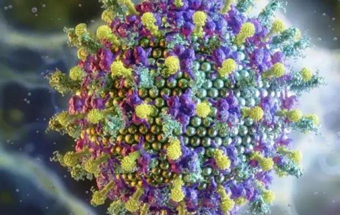 Ministério da Saúde diz que vírus Nipah não ameaça o Brasil