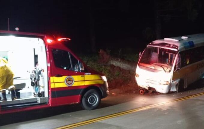 Queda de árvore causa acidente e interdita SC-305 em Campo Erê