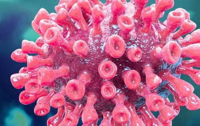 Coronavírus: Primeiro caso suspeito em Mondaí