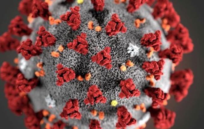 Diretora da OMS diz que mundo está entrando em quarta onda de covid-19