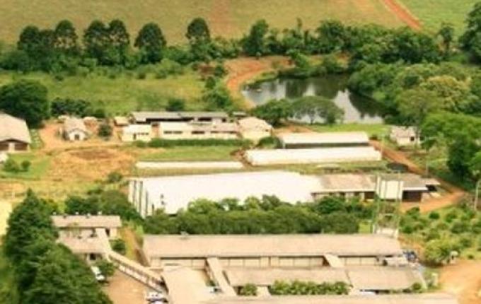 Cedup Getúlio Vargas segue atividades online com alunos