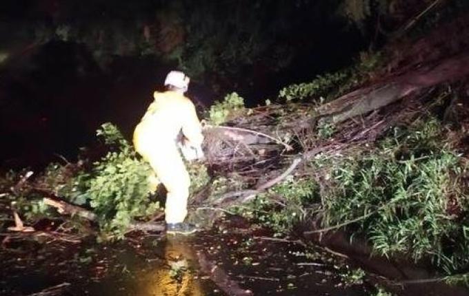Queda de árvores e alagamentos são registrados na região
