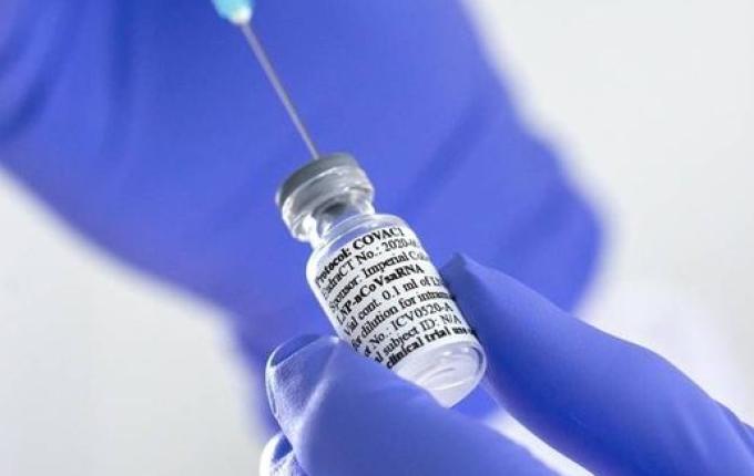 Vacina de Oxford para Covid-19 é segura e induz resposta imune