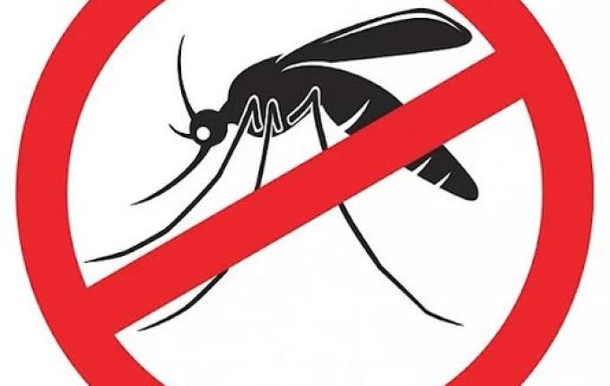 Gerência Regional de Saúde realiza Dia D de combate à dengue neste sábado