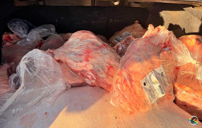Homem é preso com mais de 100 quilos de carne no interior de São Miguel do Oeste