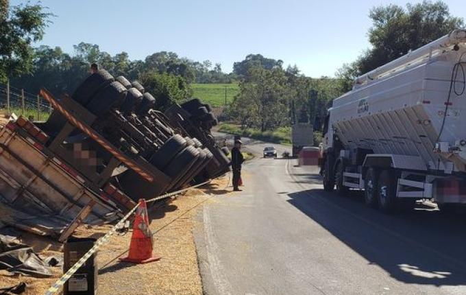 Carreta carregada com milho tomba às margens da SC-163, em Descanso