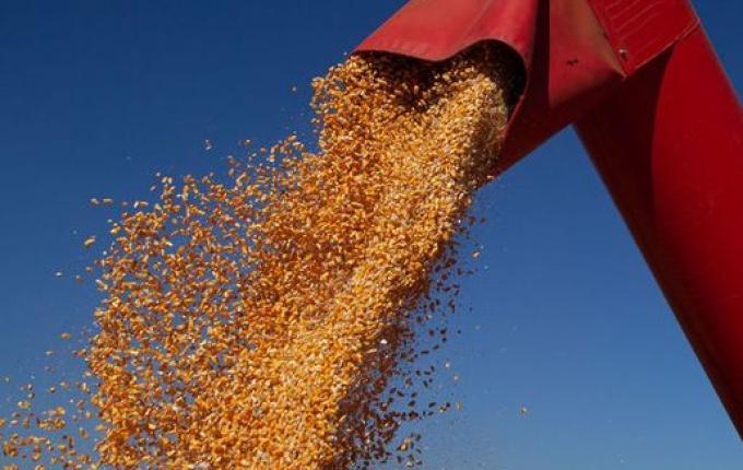 Negociações para reativação da rota do milho devem iniciar nesta semana