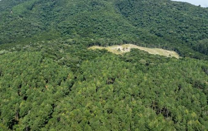 STF suspende processos contra norma ambiental de SC após atuação da Procuradoria do Estado