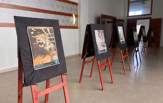 Foto da galeria