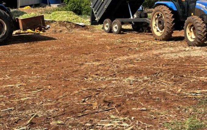 Agricultura reforça apoio a produtores na silagem em Descanso