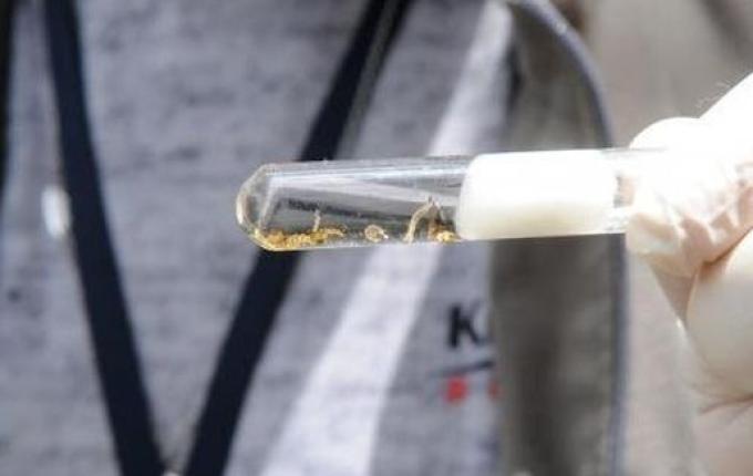 ATENÇÃO: Casos de dengue em São Miguel chegam a 131