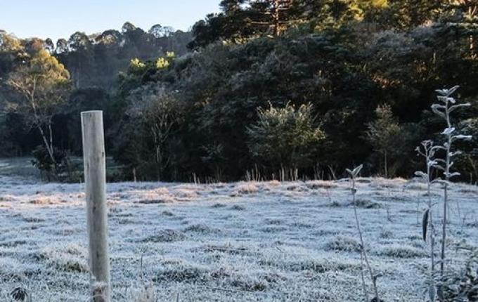 Frio intenso é importante no controle de pragas nas lavouras da região