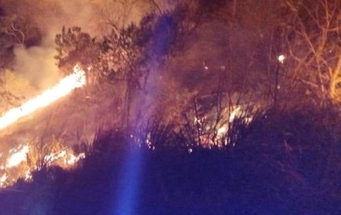 Incêndios em vegetação são registrados em São Lourenço do Oeste