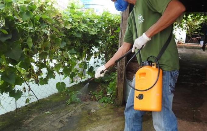 Saúde desenvolve ação de combate a carrapatos em São Miguel do Oeste