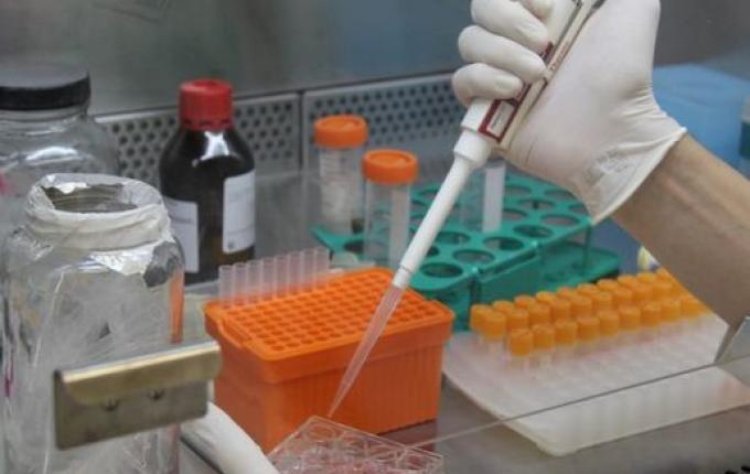 Nova subvariante muito transmissível do Coronavírus preocupa especialistas