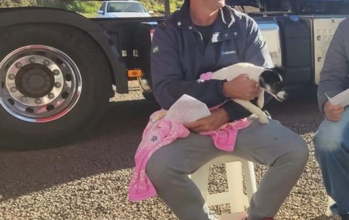 Mutirão de castração ocorreu em São José do Cedro