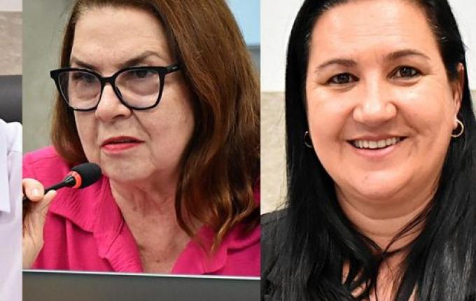 Vereadores de SMO defendem produtores e pedem veto ao leite em pó importado