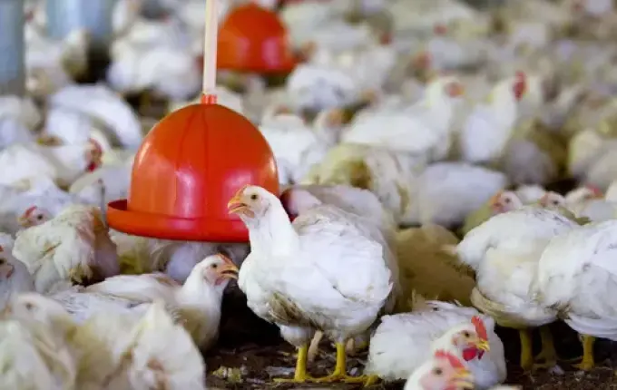 AVIEOSC cobra incentivos do Governo do Estado