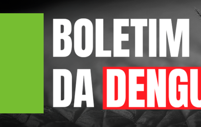 Santa Catarina passa dos 55 mil focos do Aedes aegypti e confirma 20 mortes por dengue em 2025