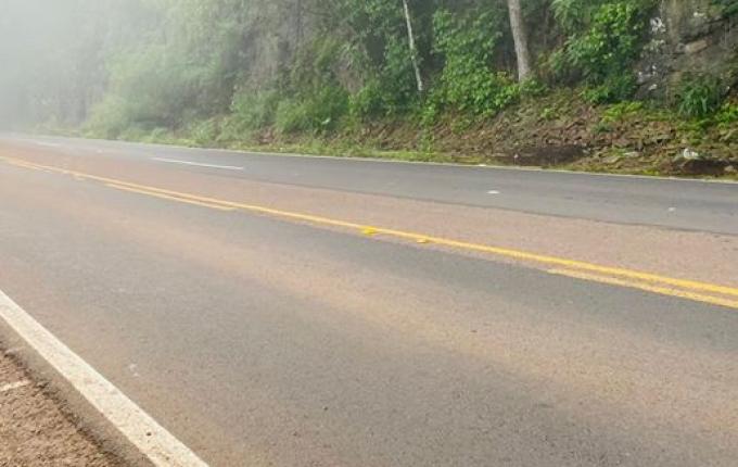 Falta de faróis ligados aumenta risco de acidentes em dias de intensa neblina