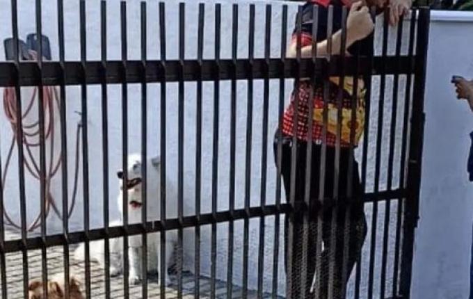 IBGE faz "última chamada" para quem ainda não respondeu ao Censo; veja como participar