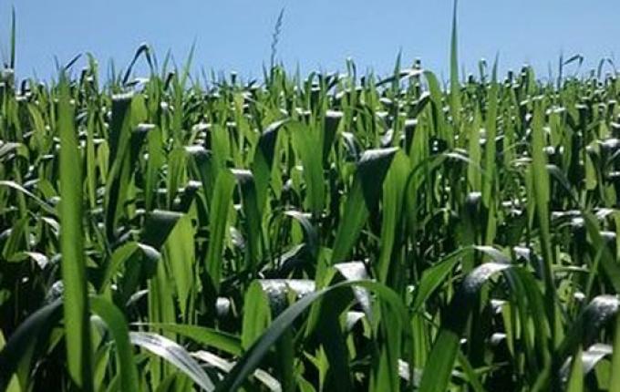 Em Anchieta, Empretec Rural acontece de 7 a 12 de Novembro