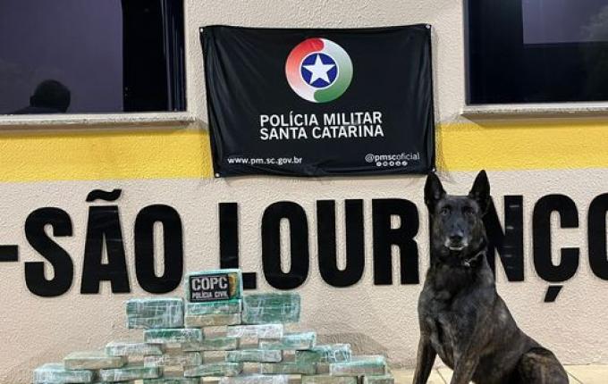 Cerca de 30kg de crack avaliados em mais de R$ 500 mil são apreendidos na SC-157