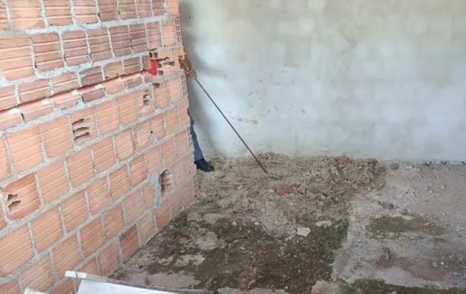 Cemitério clandestino com corpos esquartejados e cão decapitado é encontrado em SC, diz polícia