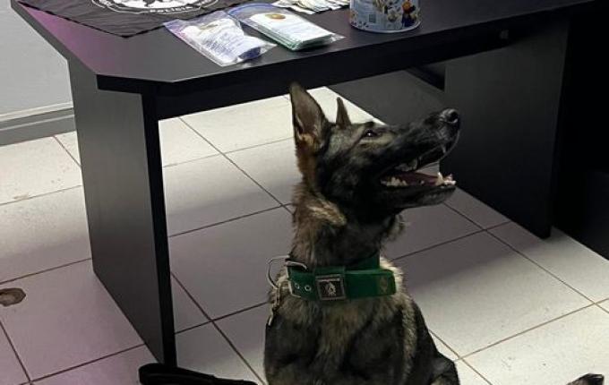 Polícia prende dois homens por tráfico de drogas em Pinhalzinho