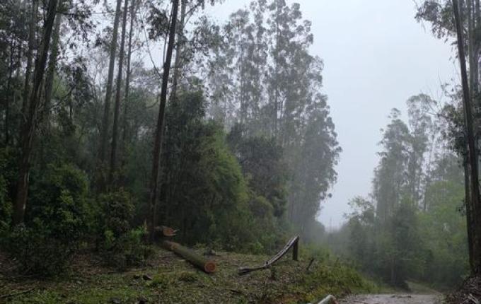 Defesa Civil detalha impactos do temporal em São Miguel do Oeste