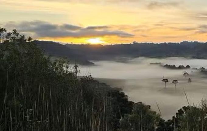 SC tem amanhecer com temperatura abaixo de 3°C nesta terça-feira