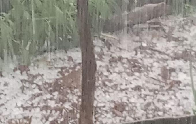 Chuva de granizo atinge interior de Campo Erê e São Bernardino