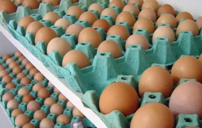 Cidasc esclarece nova portaria do Mapa sobre rotulagem de ovos