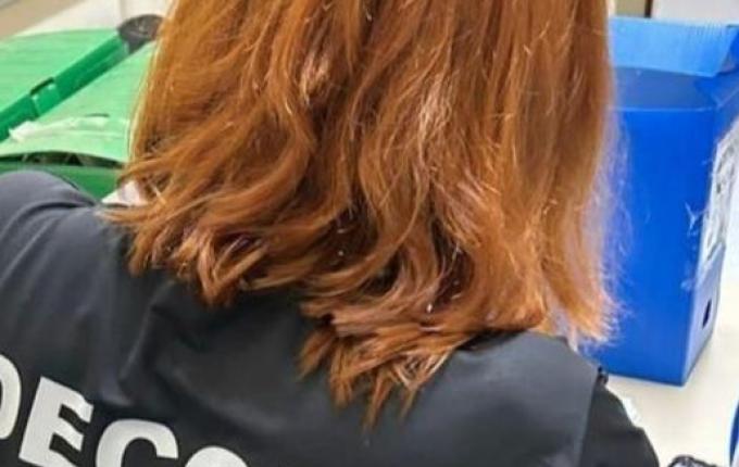 Delegacias de Combate à Corrupção de SC apreenderam R$ 8 milhões em 2024