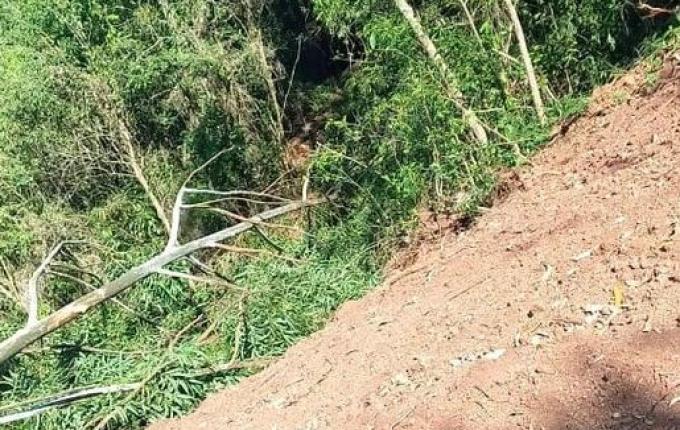 Homem morre após ser atingido por árvore no interior de SMOeste